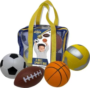 4-Ball Sports Bag